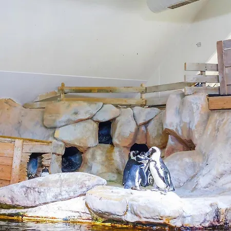 Casa de Férias 4 Bedroom Gorgeous In Bezinghem