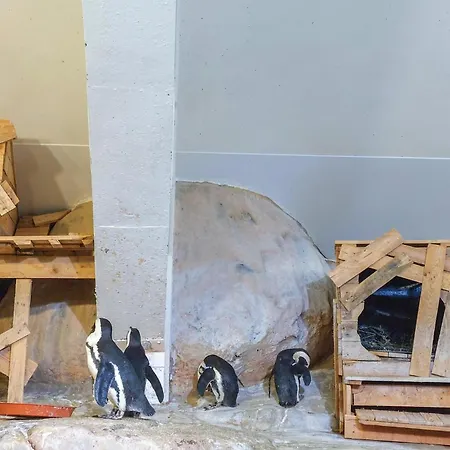 Casa de Férias 4 Bedroom Gorgeous In Bezinghem Bezinghem