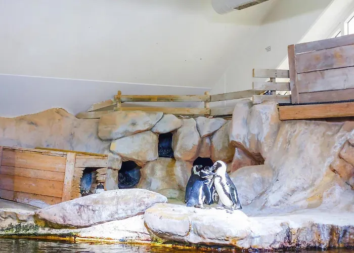 Ferienhaus 4 Bedroom Gorgeous In