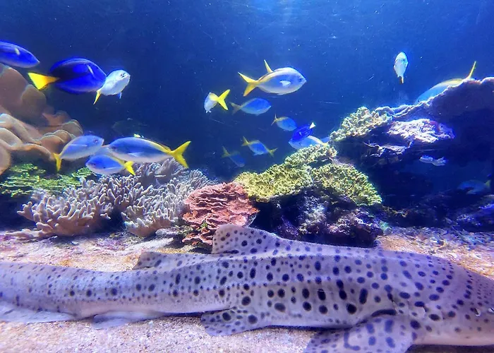 4 Bedroom Gorgeous In Ferienhaus Bezinghem