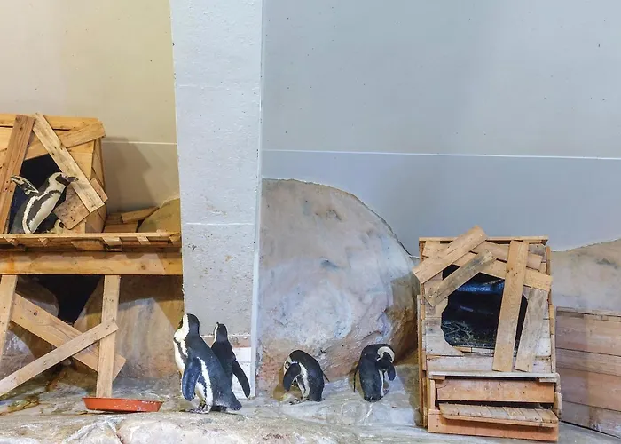 Ferienhaus 4 Bedroom Gorgeous In Bezinghem